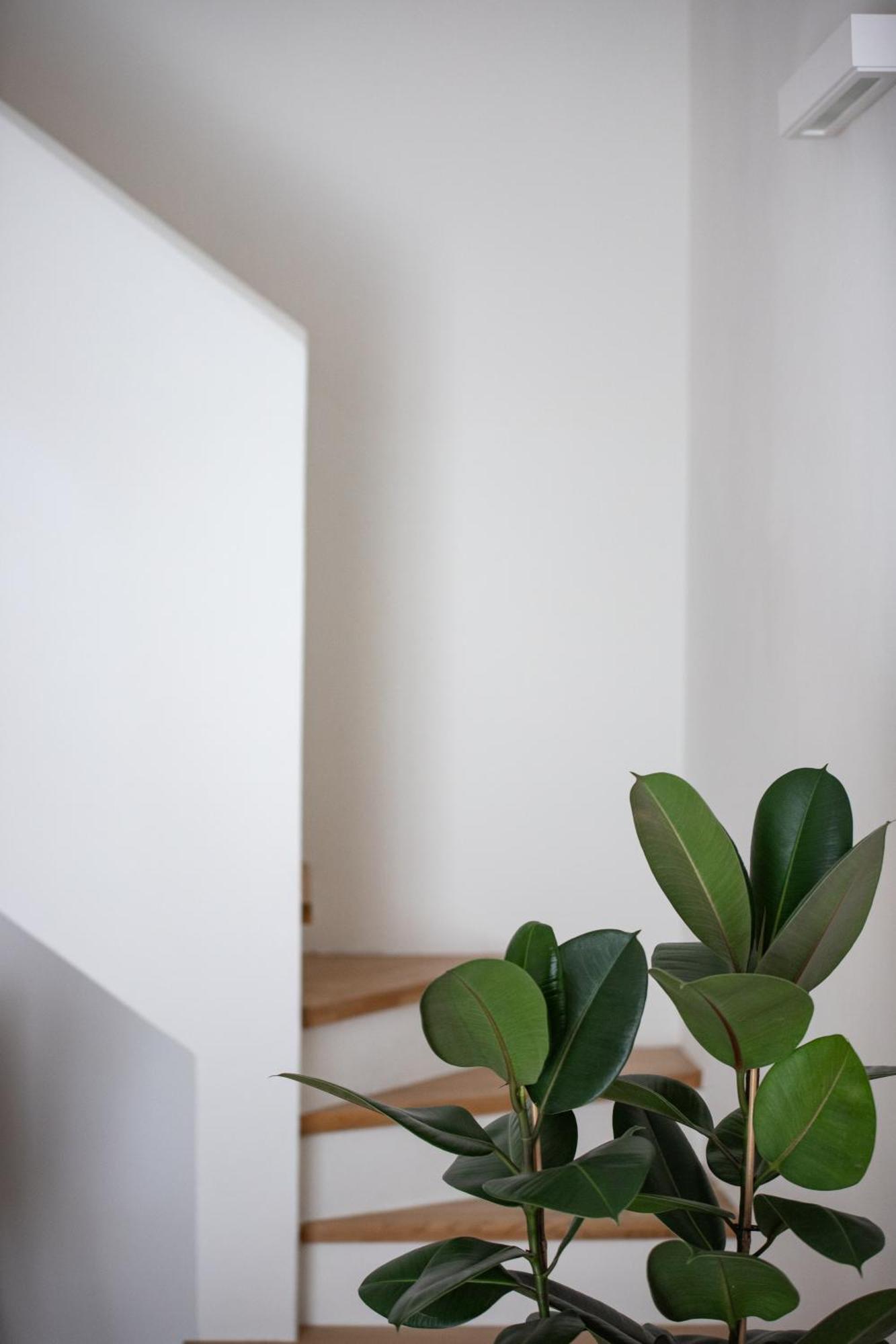 Santo Stefano Loft Aparthotel Bologna Ngoại thất bức ảnh